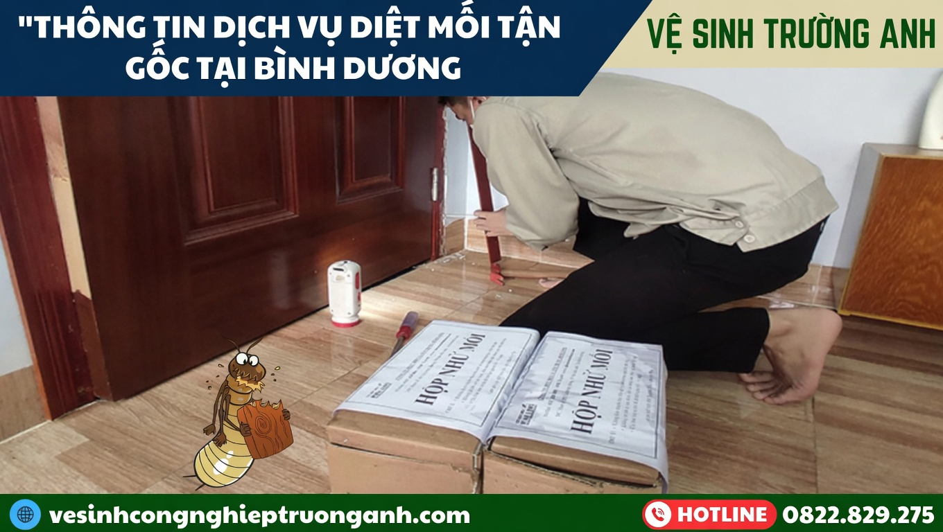dich-vu-diet-moi-nha-o-binh-duong