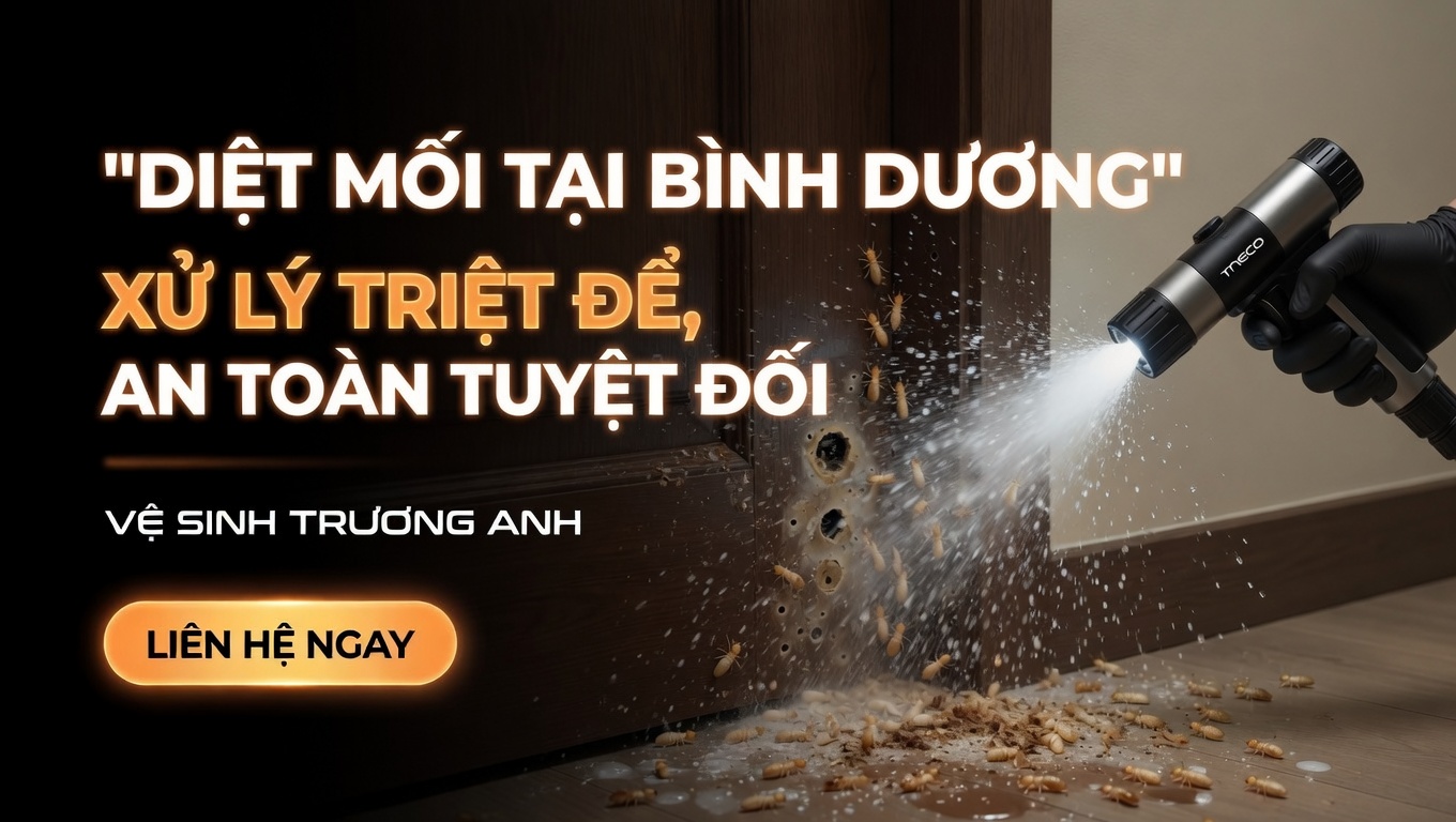 dich-vu-diet-moi-tai-binh-duong