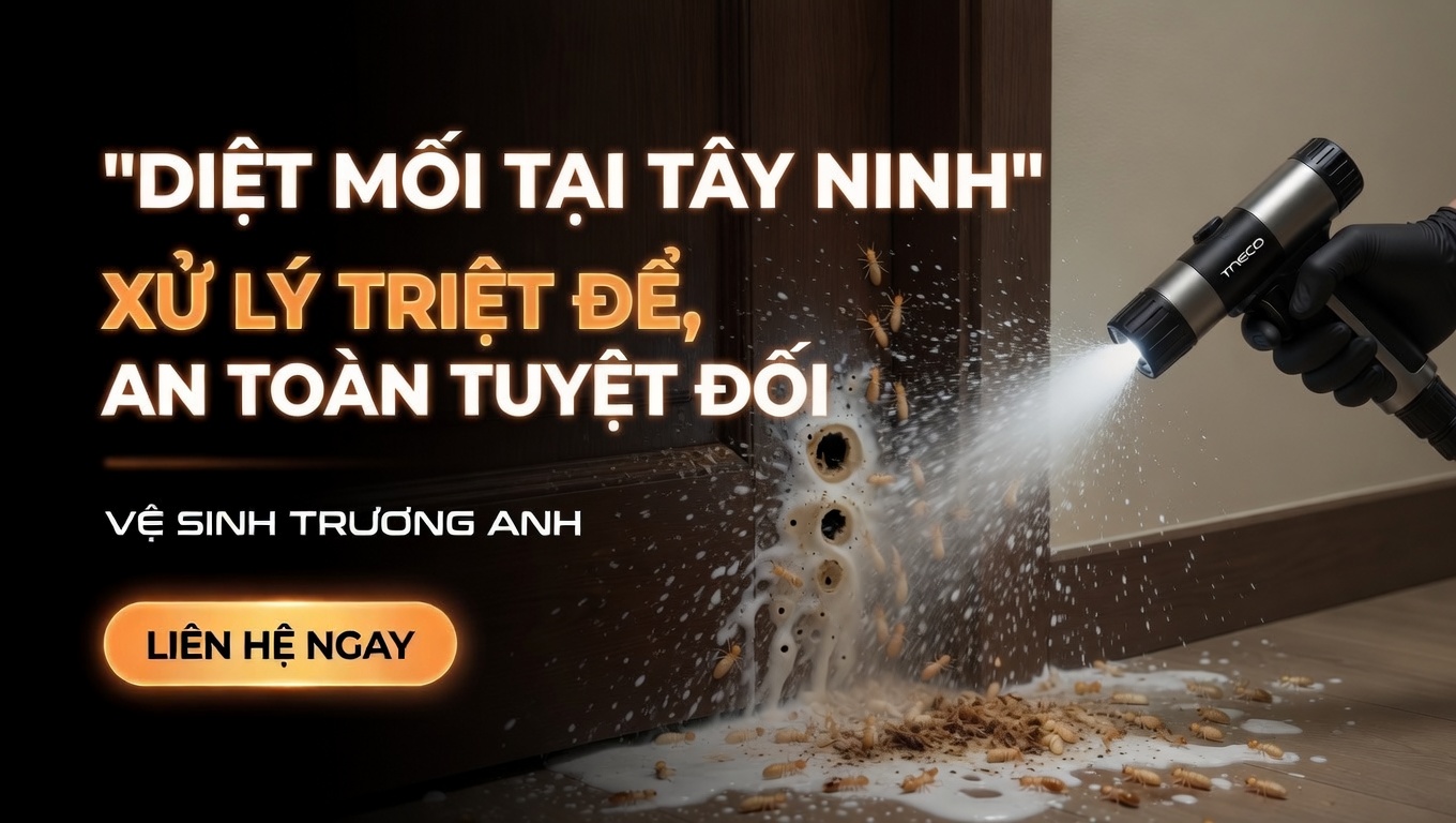 dịch vụ diệt mối tận gốc tại tây ninh (2)