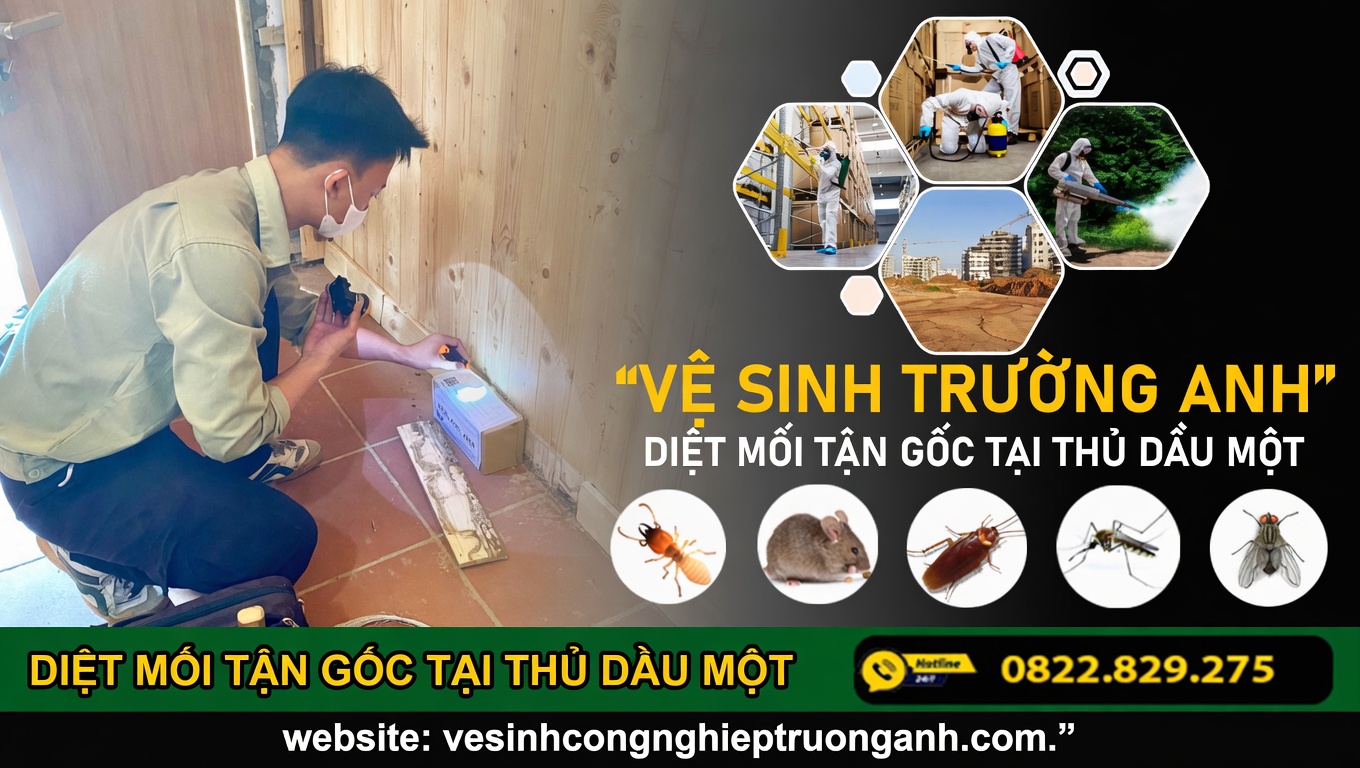 dich-vu-diet-moi-tan-goc-tai-thu-dau-mot
