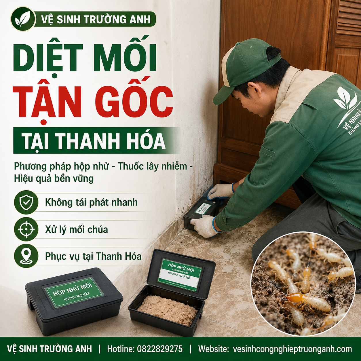 chống mối công trình xây dựng Thanh Hóa