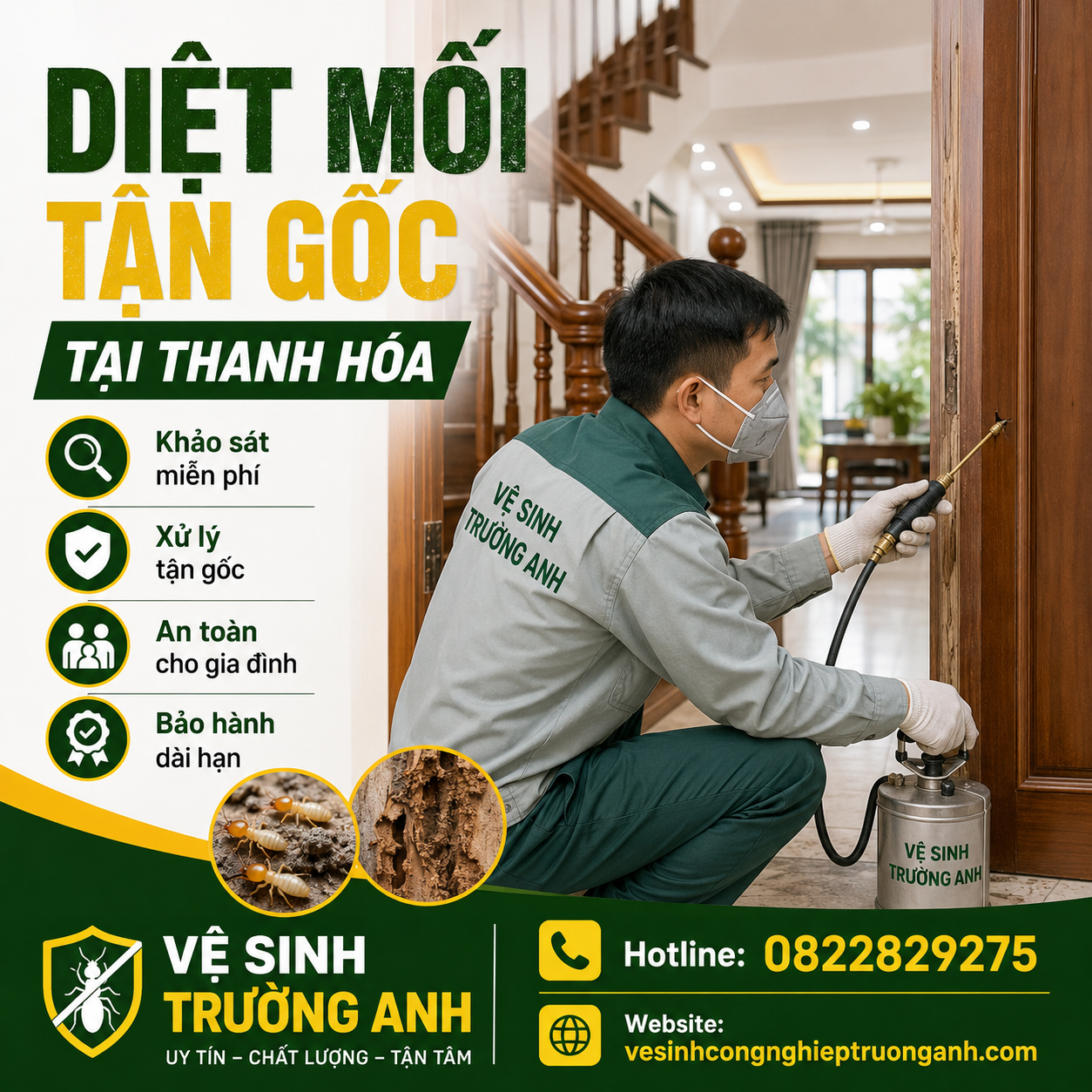 công ty diệt mối Thanh Hóa uy tín
