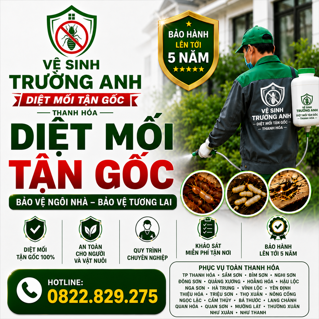 dịch vụ diệt mối tại Thanh Hóa Trường Anh